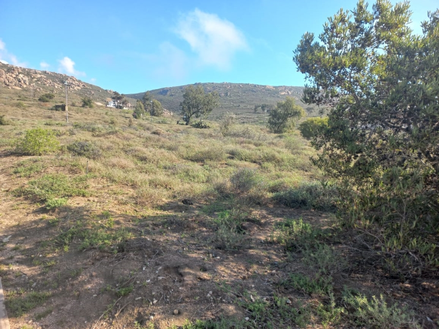 0 Bedroom Property for Sale in Steenbergs Cove Western Cape